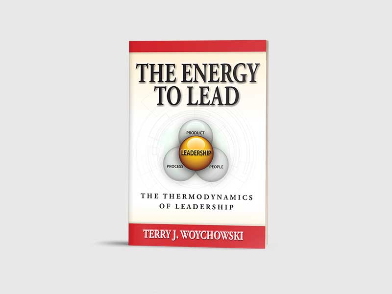 Book cover for The Energy to Lead