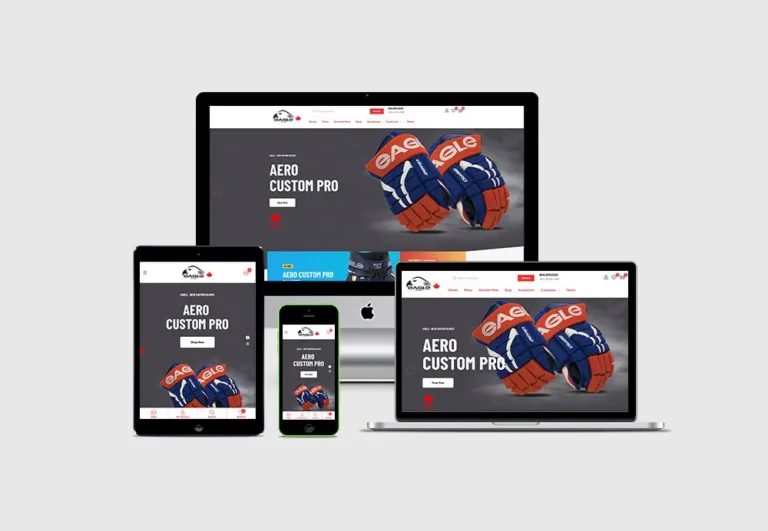 Eagle Hockey — Websites